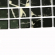 Мозаика Bonaparte Mosaics Mia Black Glossy 30x30 Мозаика Bonaparte Mosaics Mia Black Glossy 30x30