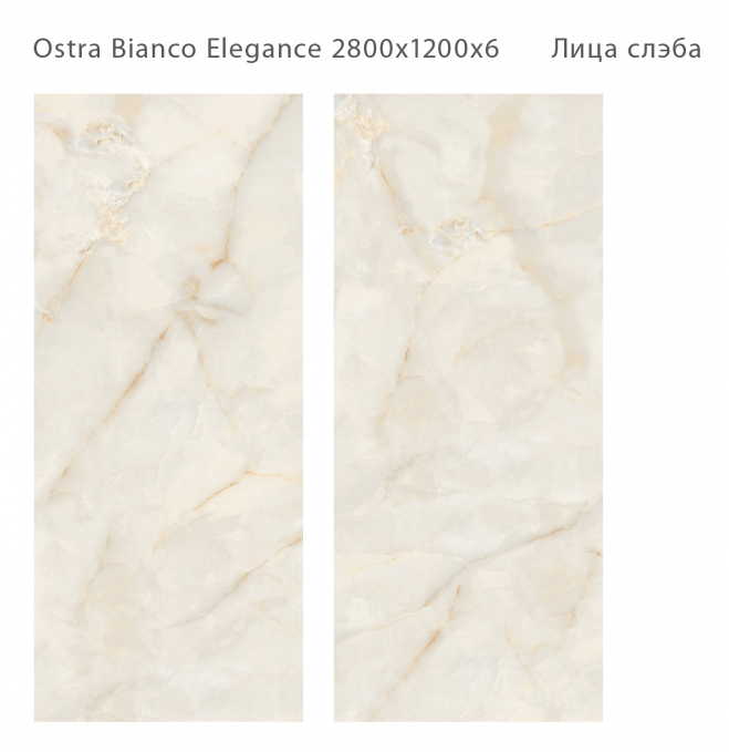 Керамический слэб StaroSlabs Polished Ostra Bianco Elegance 120x280 Керамический слэб StaroSlabs Polished Ostra Bianco Elegance 120x280