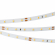 Светодиодная лента RT 2-5000 24V SUN Day4000 (2835, 60 LED/m, LUX), Arlight, 024968, изображение 1 Светодиодная лента RT 2-5000 24V SUN Day4000 (2835, 60 LED/m, LUX), Arlight, 024968, изображение 1