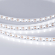 Светодиодная лента RT 2-5000 12V Cx1 White6000 2x (5060, 360 LED, LUX), Arlight, 011705, изображение 3 Светодиодная лента RT 2-5000 12V Cx1 White6000 2x (5060, 360 LED, LUX), Arlight, 011705, изображение 3
