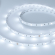 Светодиодная лента RT 2-5000 12V Cool 8K (5060, 150 LED, LUX), Arlight, 016890, изображение 1 Светодиодная лента RT 2-5000 12V Cool 8K (5060, 150 LED, LUX), Arlight, 016890, изображение 1