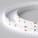 Светодиодная лента RT 2-5000 24V Cool 8K 3x (2835, 840 LED, LUX), Arlight, 019092, изображение 5 Светодиодная лента RT 2-5000 24V Cool 8K 3x (2835, 840 LED, LUX), Arlight, 019092, изображение 5