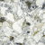 Керамогранит Atlas Concorde Russia Forte Dei Marmi Quark Ceppo Ap. Forest 80x80, 610015000703