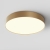 Потолочный светильник Зон / Zon 45 Вт 3000 К 120° Maytoni, C032CL-45W3K-RD-MG