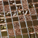 Мозаика Bonaparte Mosaics Mirror Bronze 30x30 Мозаика Bonaparte Mosaics Mirror Bronze 30x30