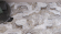Керамогранит Neodom Luxury Patagonia Polished 80x160, N20637 Керамогранит Neodom Luxury Patagonia Polished 80x160, N20637