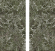 Керамогранит StaroSlabs Full Body Peacock Verde Texture 160x320 Керамогранит StaroSlabs Full Body Peacock Verde Texture 160x320