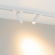 Светильник MAG-SPOT-25-R120-12W Warm3000 (WH, 30 deg, 24V), Arlight, 050078, изображение 2 Светильник MAG-SPOT-25-R120-12W Warm3000 (WH, 30 deg, 24V), Arlight, 050078, изображение 2