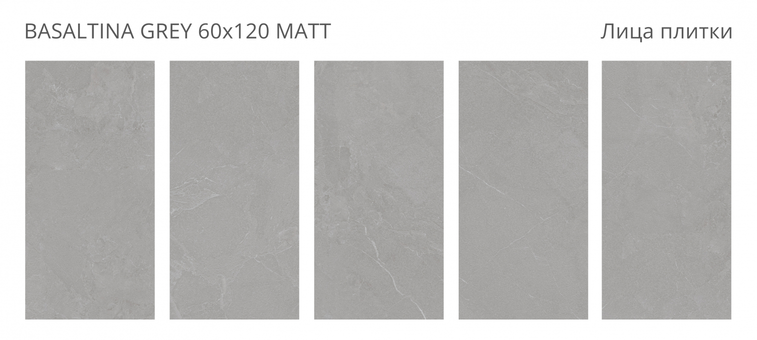Керамогранит Staro Silk Basaltina Grey 60x120 Керамогранит Staro Silk Basaltina Grey 60x120