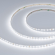 Светодиодная лента RZ-A120-6mm 24V White6000 (9.6 W/m, IP20, 2835, 5m), Arlight, 040803, изображение 2 Светодиодная лента RZ-A120-6mm 24V White6000 (9.6 W/m, IP20, 2835, 5m), Arlight, 040803, изображение 2