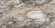 Керамогранит Neodom Luxury Amadeus Lap Carving 60x120, N20565