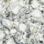Керамогранит Atlas Concorde Russia Forte Dei Marmi Quark Ceppo Ap. Forest Rett 80x80, 610010002971