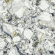 Керамогранит Atlas Concorde Russia Forte Dei Marmi Quark Ceppo Ap. Forest Rett 80x80, 610010002971 Керамогранит Atlas Concorde Russia Forte Dei Marmi Quark Ceppo Ap. Forest Rett 80x80, 610010002971