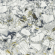 Керамогранит Atlas Concorde Russia Forte Dei Marmi Quark Ceppo Ap. Forest Rett 80x80, 610010002971 Керамогранит Atlas Concorde Russia Forte Dei Marmi Quark Ceppo Ap. Forest Rett 80x80, 610010002971