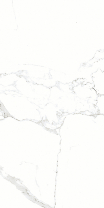 Керамогранит Artcer Marble Silver Shine Poli 60x120 Керамогранит Artcer Marble Silver Shine Poli 60x120