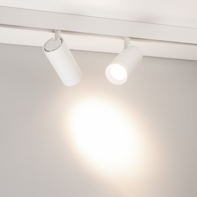 Светильник MAG-ORIENT-SPOT-R65-20W Day4000 (WH, 24 deg, 48V, DALI), Arlight, 037123, изображение 4 Светильник MAG-ORIENT-SPOT-R65-20W Day4000 (WH, 24 deg, 48V, DALI), Arlight, 037123, изображение 4
