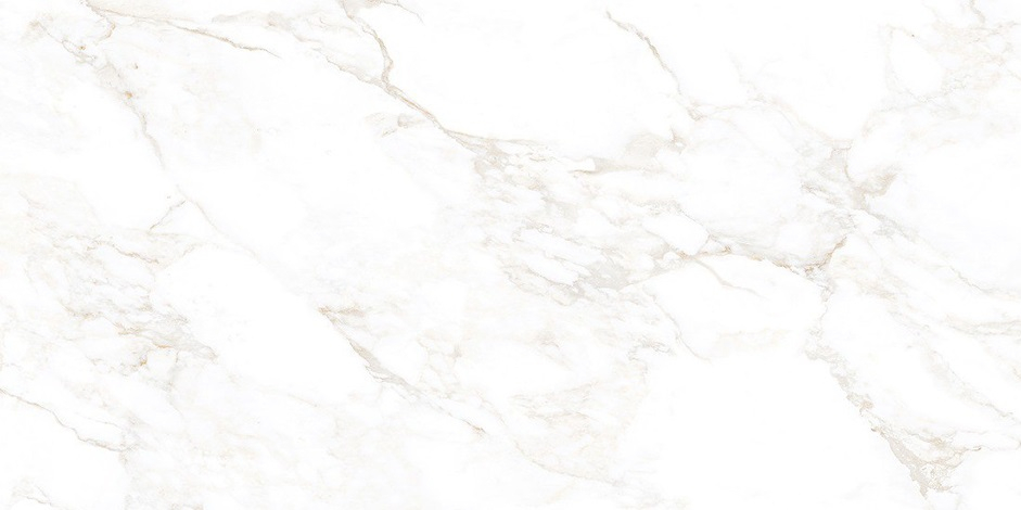 Керамогранит NT Ceramic Marmo Marble Extra Endless Mat 60x120, NTT99526M Керамогранит NT Ceramic Marmo Marble Extra Endless Mat 60x120, NTT99526M