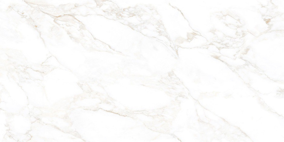 Керамогранит NT Ceramic Marmo Marble Extra Endless Mat 60x120, NTT99526M Керамогранит NT Ceramic Marmo Marble Extra Endless Mat 60x120, NTT99526M