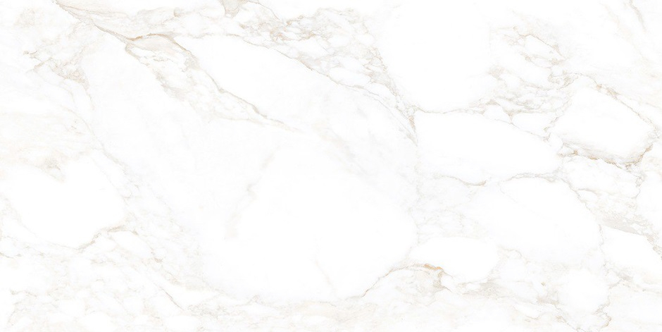 Керамогранит NT Ceramic Marmo Marble Extra Endless Mat 60x120, NTT99526M Керамогранит NT Ceramic Marmo Marble Extra Endless Mat 60x120, NTT99526M