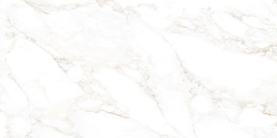 Керамогранит NT Ceramic Marmo Marble Extra Endless Mat 60x120, NTT99526M Керамогранит NT Ceramic Marmo Marble Extra Endless Mat 60x120, NTT99526M