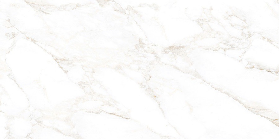 Керамогранит NT Ceramic Marmo Marble Extra Endless Mat 60x120, NTT99526M Керамогранит NT Ceramic Marmo Marble Extra Endless Mat 60x120, NTT99526M