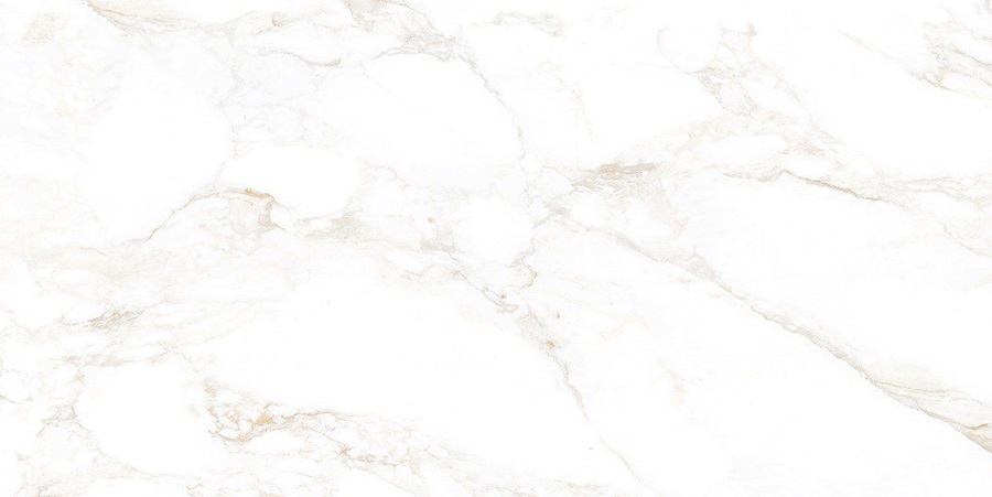 Керамогранит NT Ceramic Marmo Marble Extra Endless Mat 60x120, NTT99526M Керамогранит NT Ceramic Marmo Marble Extra Endless Mat 60x120, NTT99526M