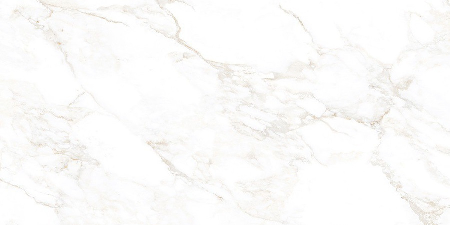 Керамогранит NT Ceramic Marmo Marble Extra Endless Mat 60x120, NTT99526M Керамогранит NT Ceramic Marmo Marble Extra Endless Mat 60x120, NTT99526M