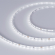 Светодиодная лента MICROLED-M120-4mm 24V White6000 (5.4 W/m, IP20, 2216, 5m), Arlight, 024417(2), изображение 1 Светодиодная лента MICROLED-M120-4mm 24V White6000 (5.4 W/m, IP20, 2216, 5m), Arlight, 024417(2), изображение 1