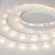 Светодиодная лента RT-B30-10mm 12V Warm3000 (7.2 W/m, IP20, 5060, 5m), Arlight, 028582(2), изображение 1 Светодиодная лента RT-B30-10mm 12V Warm3000 (7.2 W/m, IP20, 5060, 5m), Arlight, 028582(2), изображение 1