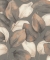 Обои Rasch Florentine Incanto, 977738