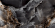 Керамогранит Neodom Luxury Royal Onyx Polished 60x120, N40018 Керамогранит Neodom Luxury Royal Onyx Polished 60x120, N40018
