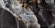 Керамогранит Neodom Luxury Royal Onyx Polished 60x120, N40018 Керамогранит Neodom Luxury Royal Onyx Polished 60x120, N40018