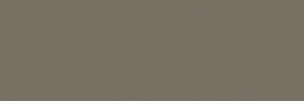 Настенная плитка Italon Element Silk Terra 25x75, 600010001940 Настенная плитка Italon Element Silk Terra 25x75, 600010001940