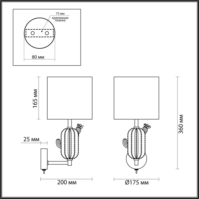 Бра E14 1*40W CACTUS MODERN ODL_EX24 099 ODEON LIGHT 5425/1W, схема товара