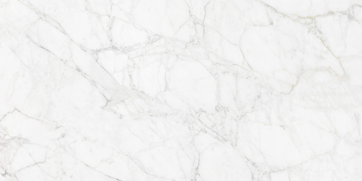 Керамогранит Neodom Luxury Carrara Giaola Polished 60x120, N12045 Керамогранит Neodom Luxury Carrara Giaola Polished 60x120, N12045