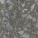 Керамогранит Atlas Concorde Russia Forte Dei Marmi Quark Ceppo Ap. Quartz 80x80, 610015000704 Керамогранит Atlas Concorde Russia Forte Dei Marmi Quark Ceppo Ap. Quartz 80x80, 610015000704