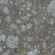 Керамогранит Atlas Concorde Russia Forte Dei Marmi Quark Ceppo Ap. Quartz 80x80, 610015000704 Керамогранит Atlas Concorde Russia Forte Dei Marmi Quark Ceppo Ap. Quartz 80x80, 610015000704