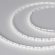 Светодиодная лента MICROLED-M120-4mm 24V Day5000 (9.6 W/m, IP20, 2216, 5m), Arlight, 024412(2), изображение 1 Светодиодная лента MICROLED-M120-4mm 24V Day5000 (9.6 W/m, IP20, 2216, 5m), Arlight, 024412(2), изображение 1