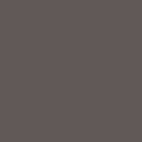 Керамогранит Estima Profi Rainbow RW033 80x80x11 непол. рект.
