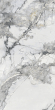 Керамогранит Artcer Marble Svpl 6050 Poli 60x120 Керамогранит Artcer Marble Svpl 6050 Poli 60x120