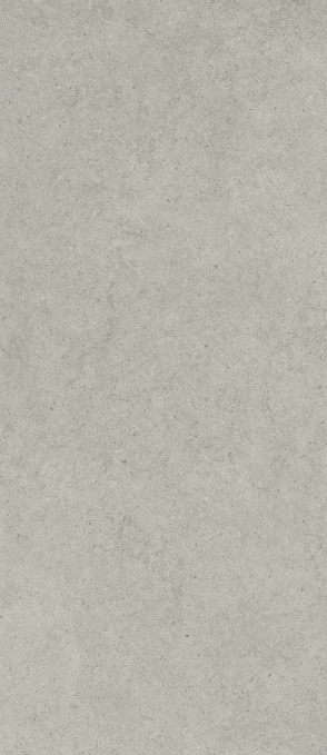Керамогранит Italon Forum Stone Silver 120x278, 600180000082 Керамогранит Italon Forum Stone Silver 120x278, 600180000082