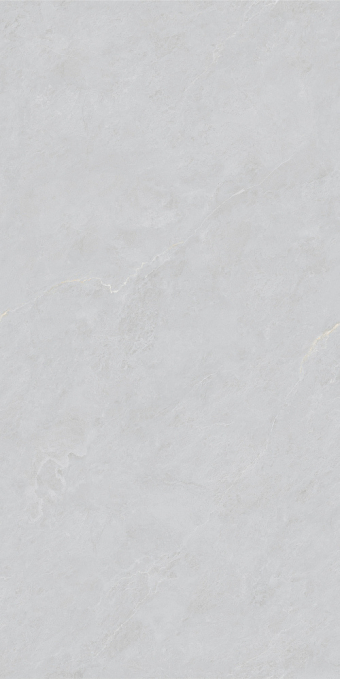 Керамогранит Basconi Home Cateye Light Grey Grains Soft Polished Mould 60x120, BHW-0023 Керамогранит Basconi Home Cateye Light Grey Grains Soft Polished Mould 60x120, BHW-0023