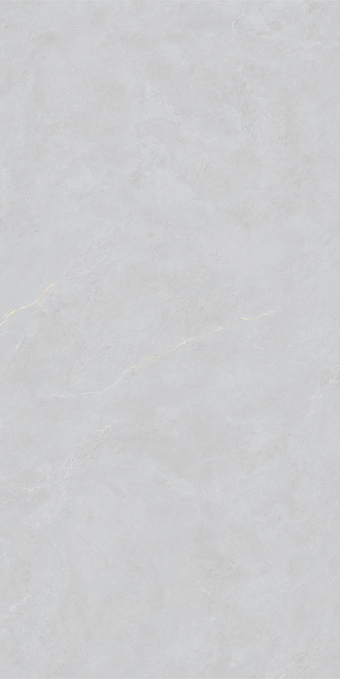 Керамогранит Basconi Home Cateye Light Grey Grains Soft Polished Mould 60x120, BHW-0023 Керамогранит Basconi Home Cateye Light Grey Grains Soft Polished Mould 60x120, BHW-0023