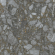 Керамогранит Atlas Concorde Russia Forte Dei Marmi Quark Ceppo Ap. Quartz Rett 80x80, 610010002972 Керамогранит Atlas Concorde Russia Forte Dei Marmi Quark Ceppo Ap. Quartz Rett 80x80, 610010002972