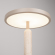 Светильник SP-ALYSS-TAB-R22.5x30-5W Warm3200-MIX (BG-BG, 110 deg, 230V), Arlight, 061706, изображение 4 Светильник SP-ALYSS-TAB-R22.5x30-5W Warm3200-MIX (BG-BG, 110 deg, 230V), Arlight, 061706, изображение 4