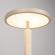 Светильник SP-ALYSS-TAB-R22.5x30-5W Warm3200-MIX (BG-BG, 110 deg, 230V), Arlight, 061706, изображение 7 Светильник SP-ALYSS-TAB-R22.5x30-5W Warm3200-MIX (BG-BG, 110 deg, 230V), Arlight, 061706, изображение 7