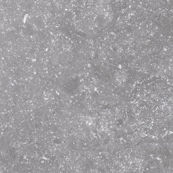 Керамогранит Equipe Coralstone Grey Antislip 20x20, 23573 Керамогранит Equipe Coralstone Grey Antislip 20x20, 23573