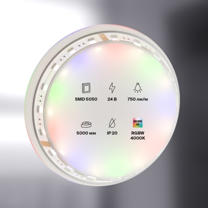 Светодиодная лента 24В 5050 19,2Вт/м Цветная (RGB) + 4000K 5м IP20, 10180, изображение 4