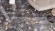Керамогранит Neodom Luxury Arabesque Grigio Polished 60x120, N20667 Керамогранит Neodom Luxury Arabesque Grigio Polished 60x120, N20667