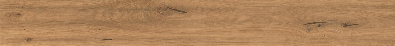 Керамогранит Atlas Concorde Log Amber Oak Forest 20x180, AX5Y Керамогранит Atlas Concorde Log Amber Oak Forest 20x180, AX5Y